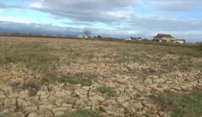 Kekeringan di Maros Sulawesi Selatan