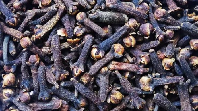 ilustrasi tumpukan cengkeh